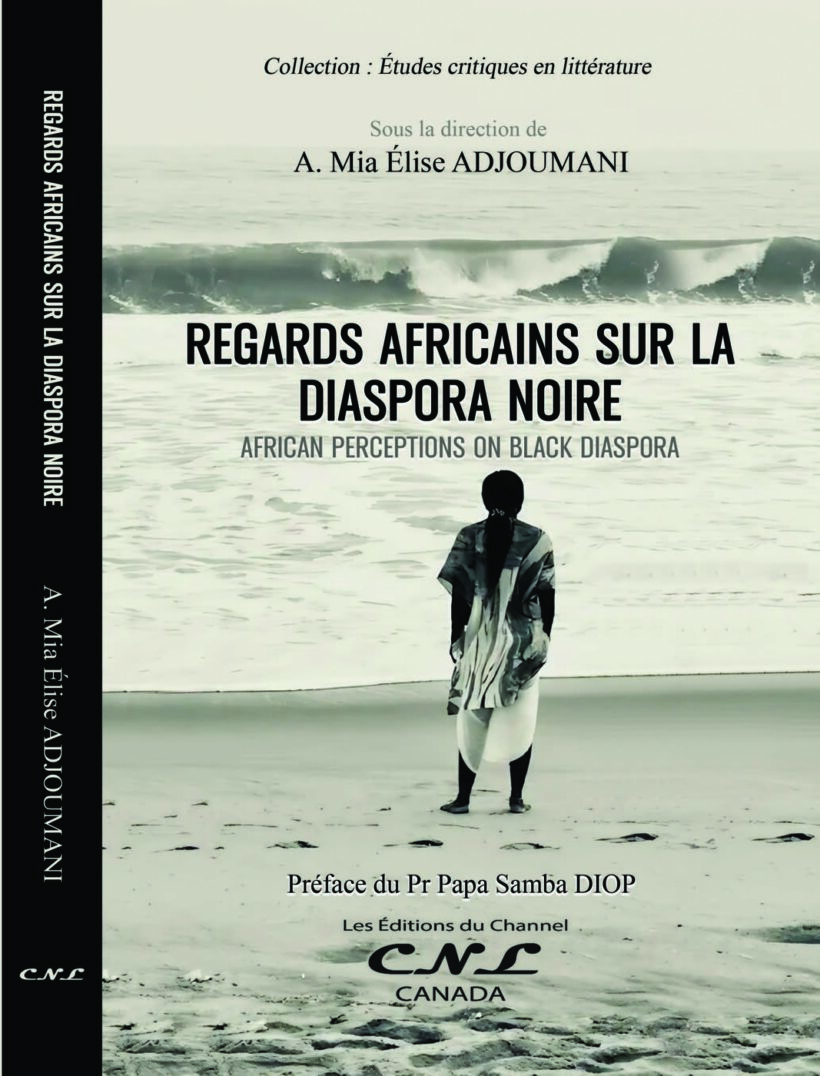 Regards africains sur la diaspora noire